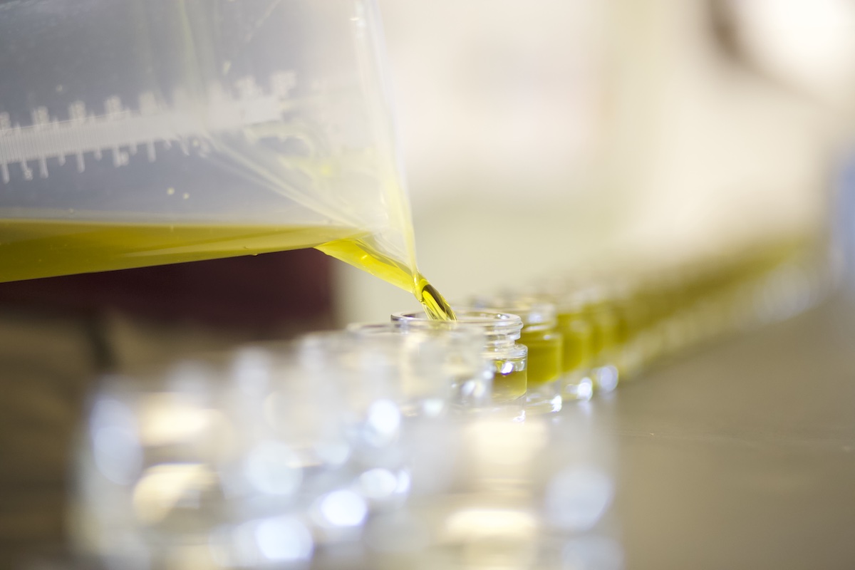 Artemisia annua Salbe